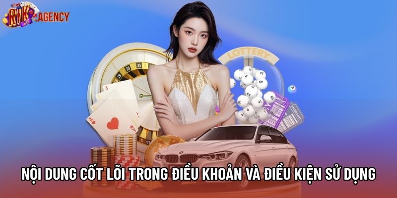 Nội dung cốt lõi trong điều khoản và điều kiện sử dụng