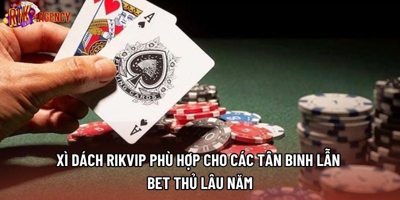 Xì Dách Rikvip Phù Hợp Cho Các Tân Binh Lẫn Bet Thủ Lâu Năm
